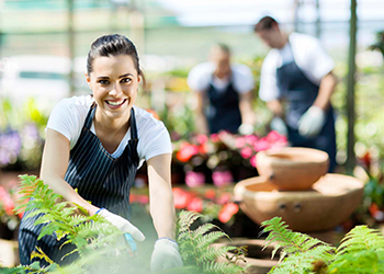 庭院修复后效果